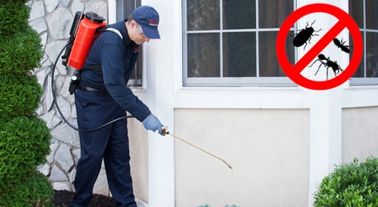 Kandıra Dezenfeksiyon böcek ilaçlama ve haşere kontrolü — ilaclama-tr.com
